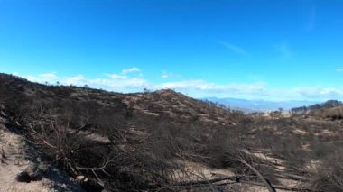 Mijas, Malaga, İspanya tepelerine giden yolda yanan orman.