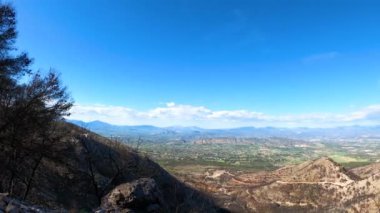 Mijas, Malaga, İspanya tepelerine giden yolda yanan orman.