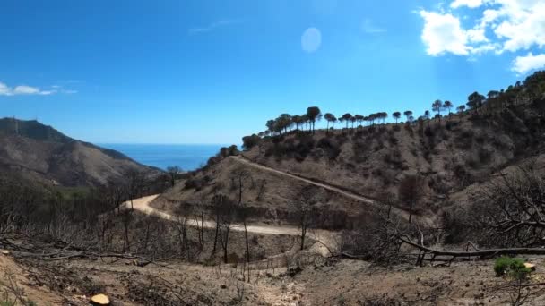 Выжженный Лес Пути Вершине Михас Малага Испания — стоковое видео