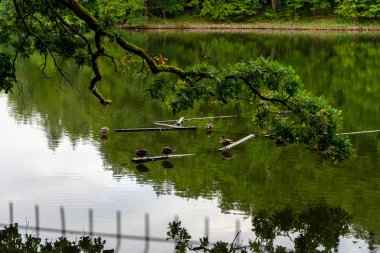 SOVATA, ROMANIA - 24 AĞUSTOS 2022: Balneoclimateric ve çamur tedavileriyle bilinir. Brüksel, Romanya 24 Ağustos 2022
