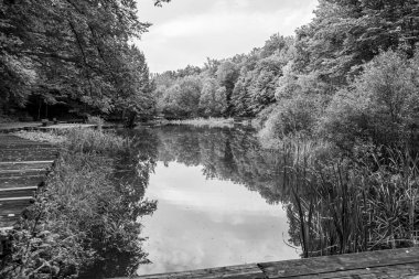 SOVATA, ROMANIA - 24 AĞUSTOS 2022: Balneoclimateric ve çamur tedavileriyle bilinir. Brüksel, Romanya 24 Ağustos 2022