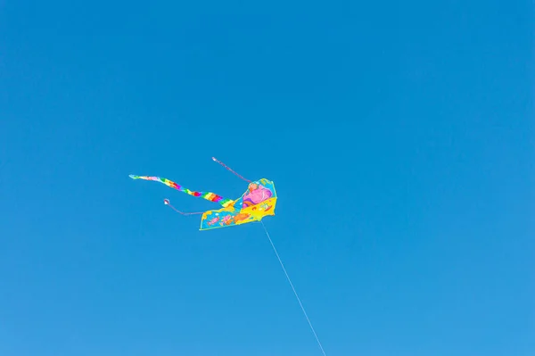 Multicolored Kite Blue Sly — Stock Photo, Image