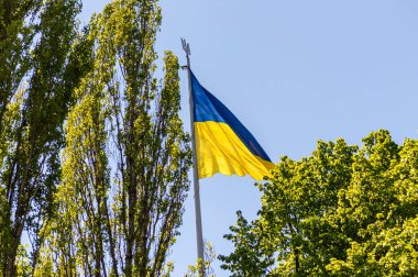 Ukrayna 'nın ulusal bayrağı mavi gökyüzünde rüzgarda dalgalanıyor