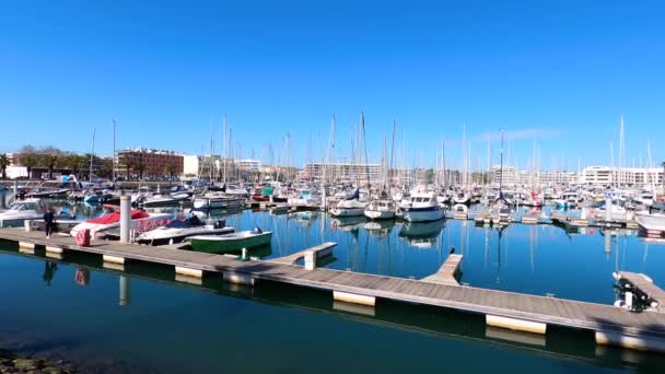 Λαγοσ Πορτογαλια Φεβρουαριου 2023 Πλοία Και Ferries Στο Λιμάνι Στο — Αρχείο Βίντεο