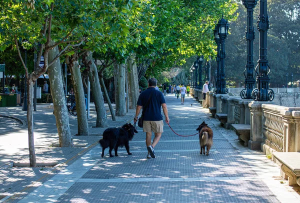 Cadiz Ισπανια Απριλιου 2023 Περπάτημα Στον Παραλιακό Δρόμο Στο Κάντιθ — Φωτογραφία Αρχείου