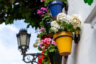 Çiçekler beyaz duvar