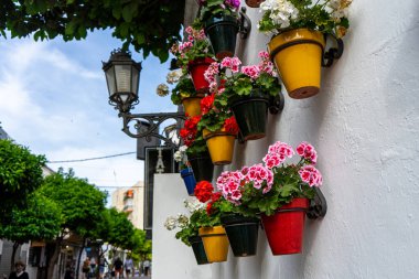 TORREMOLINOS, SPAIN - 4 Mayıs 2023: İspanya 'nın Torremolinos kentindeki şehir merkezinde 4 Mayıs 2023' te duvarda çiçekler