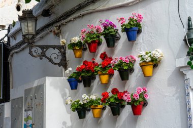 TORREMOLINOS, SPAIN - 4 Mayıs 2023: İspanya 'nın Torremolinos kentindeki şehir merkezinde 4 Mayıs 2023' te duvarda çiçekler