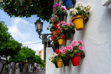 TORREMOLINOS, SPAIN - 4 Mayıs 2023: İspanya 'nın Torremolinos kentindeki şehir merkezinde 4 Mayıs 2023' te duvarda çiçekler