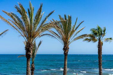 BENALMADENA, İspanya - 7 Mayıs 2023: Benalmadena, İspanya 'da deniz gezintisi, 7 Mayıs 2023