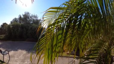 TORREMOLINOS, İspanya - 26 Nisan 2023: Torremolinos, İspanya 'daki Parque de la Bateria' da Yürüyüş
