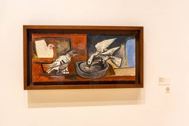 MALAGA, İspanya - 20 Mayıs 2023: 20 Mayıs 2023 'te İspanya' nın Malaga kentindeki Picasso müzesini ziyaret etmek