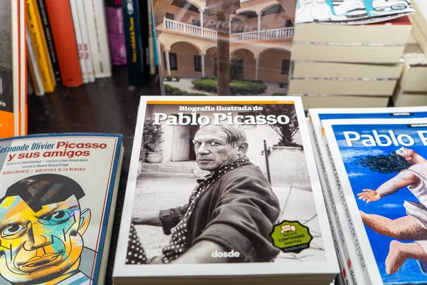 MALAGA, İspanya - 20 Mayıs 2023: 20 Mayıs 2023 'te İspanya' nın Malaga kentindeki Picasso müzesini ziyaret etmek