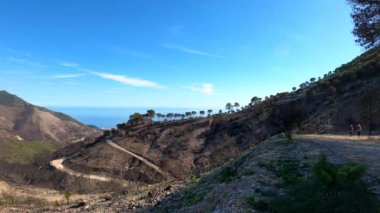 Mijas, Malaga, İspanya tepelerine giden yolda yanan orman.