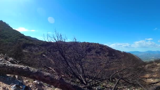 Burnt Forest Trail Peak Mijas Malaga Spain — Stock Video