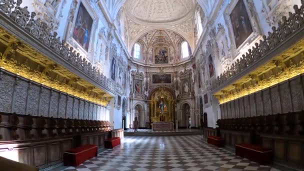 Granada Spanien April 2023 Die Barocke Sakristei Der Kirche Monasterio — Stockvideo