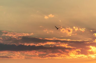 Sahilde altın gün doğumu