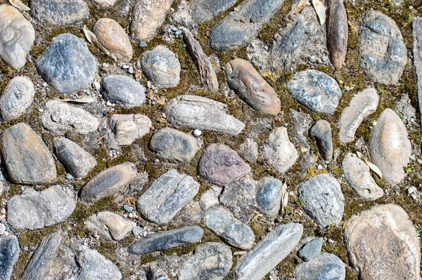 Gray Stone Wall Background Series — Stock Photo, Image