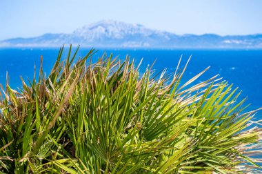 İspanya 'nın Tarifa kentindeki Gibraltar Boğazı' nın panoramik görüntüsü