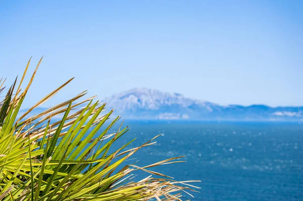 Spanya Nın Tarifa Kentindeki Gibraltar Boğazı Nın Panoramik Görüntüsü — Stok fotoğraf