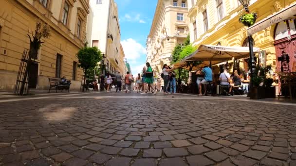 ハンガリーのブダペスト 2023年7月7日 7月7日にハンガリーのブダペストで最初のハンガリー王スティーブンを記念して ローマカトリック大聖堂の聖シュテファン大聖堂まで通りを歩く — ストック動画