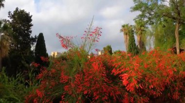 MALAGA, İspanya - 17 Temmuz 2023 'te İspanya' nın Malaga şehrinde bulutlu bir yaz gününde Castillo de Gibralfaro 'ya giden yol