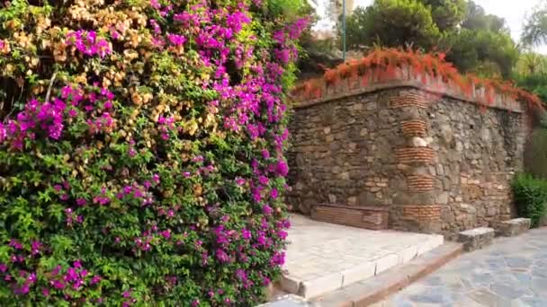 Malaga Espagne Juillet 2023 Route Vers Castillo Gibralfaro Par Une — Video