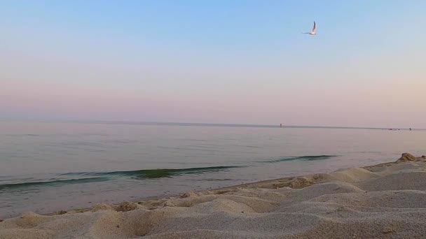 乌克兰黑海上空的日出 — 图库视频影像