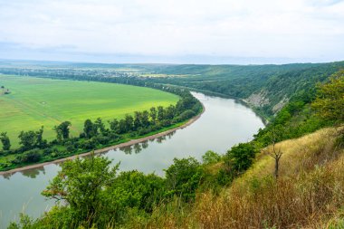 Dinyester Nehri 'nin Panoraması. Kanyonlu manzara, orman ve önünde bir nehir. Dniester Nehri. Ukrayna