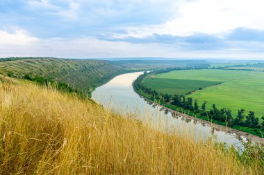 Dinyester Nehri 'nin Panoraması. Kanyonlu manzara, orman ve önünde bir nehir. Dniester Nehri. Ukrayna