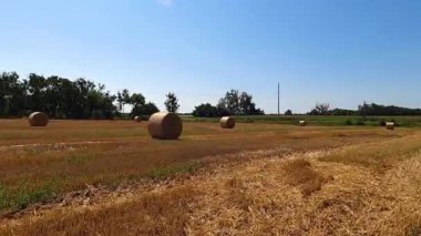 Yuvarlak saman balyaları gökyüzü arka planında yuvarlandı, sonbahar hasadı