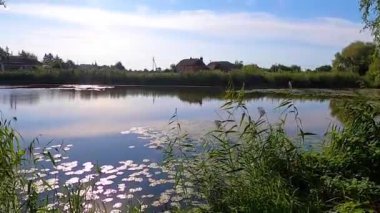 Yazın gölün ortasında küçük bir adada balıkçıların evi. Eski Solotvyn köyü, Ukrayna.