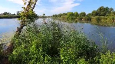 Yazın gölün ortasında küçük bir adada balıkçıların evi. Eski Solotvyn köyü, Ukrayna.