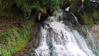 ZALICHIKI, UKRAINE - 24 Ağustos 2021: Zalichiki, Ukrayna 'da Dinyester Nehri' nin önündeki kanyon, orman ve nehir manzarası