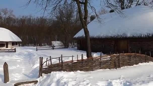 Winter Landscape Traditional Ukrainian Windmill — Stock Video