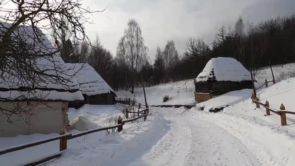 乌克兰传统风车的冬季景观 — 图库视频影像