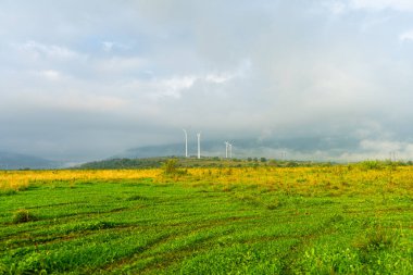 Ukrayna, sisli gündoğumunda kırsal bir alanda yel değirmenleri