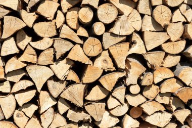 Odun yığınları. Kış için yakacak odun hazırlığı.