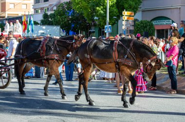 TORREMOLINOS, SPAIN - 24 Eylül 2023: 24 Eylül 2023 tarihinde İspanya 'nın Torremolinos kentindeki fuarın ilk günü olarak geleneksel 