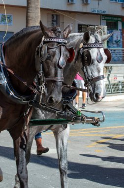 TORREMOLINOS, SPAIN - 24 Eylül 2023: 24 Eylül 2023 tarihinde İspanya 'nın Torremolinos kentindeki fuarın ilk günü olarak geleneksel 