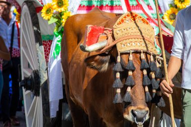 TORREMOLINOS, SPAIN - 24 Eylül 2023: 24 Eylül 2023 tarihinde İspanya 'nın Torremolinos kentindeki fuarın ilk günü olarak geleneksel 