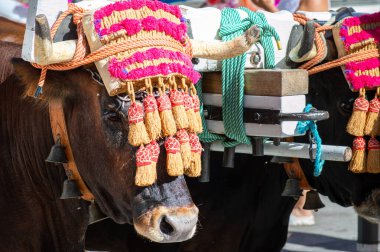 TORREMOLINOS, SPAIN - 24 Eylül 2023: 24 Eylül 2023 tarihinde İspanya 'nın Torremolinos kentindeki fuarın ilk günü olarak geleneksel 