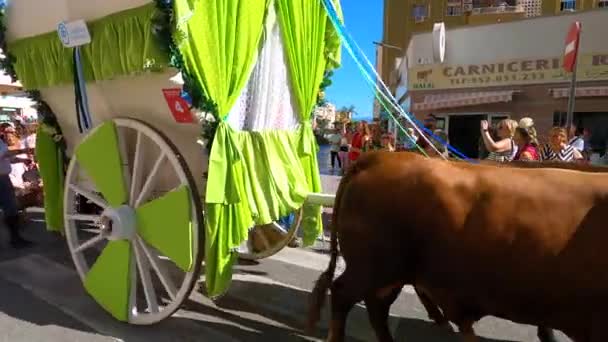 トレモリノス Spain サンミゲルフェスティバルの伝統的なロメリアの巡礼者 ロメリア サンミゲル 9月24日にスペインのトレモリノスで公正の最初の日として2023年9月24日 — ストック動画