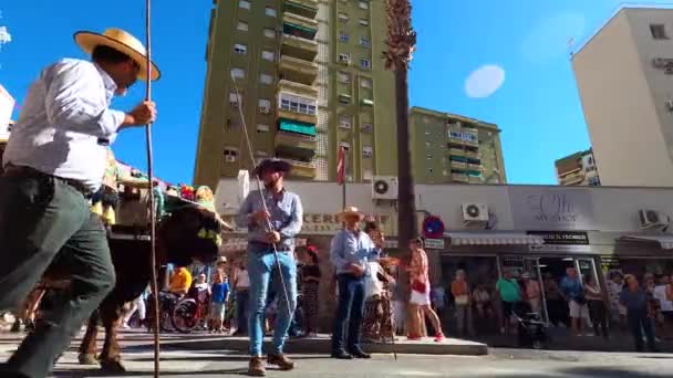 Torremolinos Espanha Setembro 2023 Peregrinos Tradicional Festival Romeria San Miguel — Vídeo de Stock