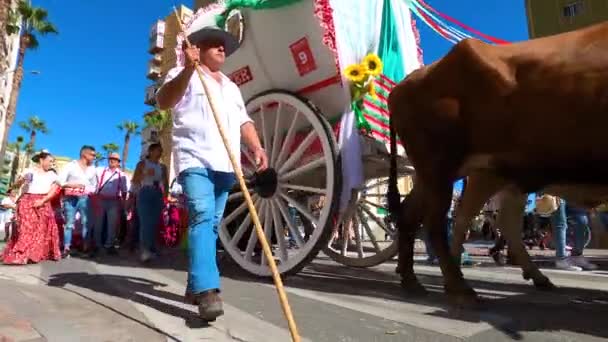 Torremolinos Spain September 2023 Peziarah Romeria Tradisional Festival San Miguel — Stok Video