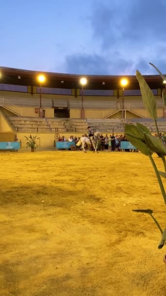 Torremolinos Espagne Septembre 2023 Exposition Cavaliers Foire San Miguel Torremolinos — Video