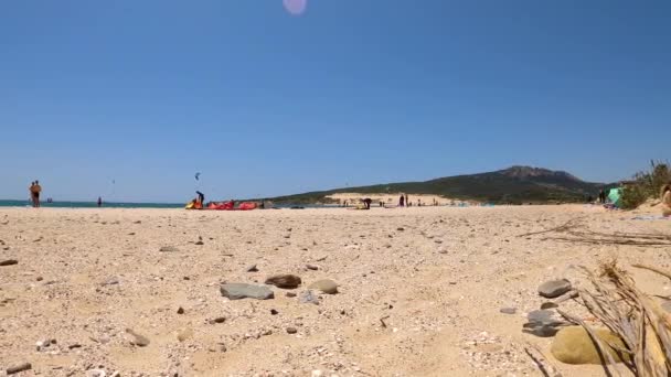 Tarifa Espagne Juin 2023 Kitesurf Sur Plage Valdevaqueros Détroit Gibraltar — Video