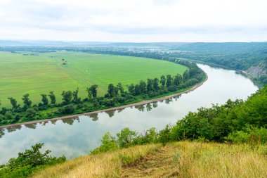 Dinyester Nehri 'nin Panoraması. Kanyonlu manzara, orman ve önünde bir nehir. Dniester Nehri. Ukrayna