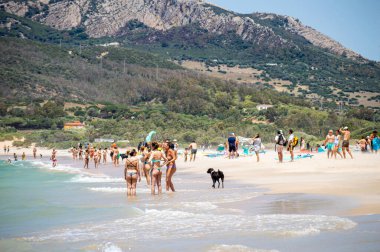 TARIFA, İspanya - 17 Haziran 2023: Valdevaqueros plajında uçurtma uçurma, Gibraltar Boğazı, Tarifa, İspanya 17 Haziran 2023