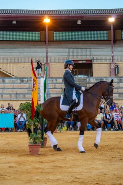 TORREMOLINOS, İspanya - 30 Eylül 2023: Atlılar 30 Eylül 2023 tarihinde İspanya 'nın Torremolinos kentindeki San Miguel fuarında gösteri yaptılar
